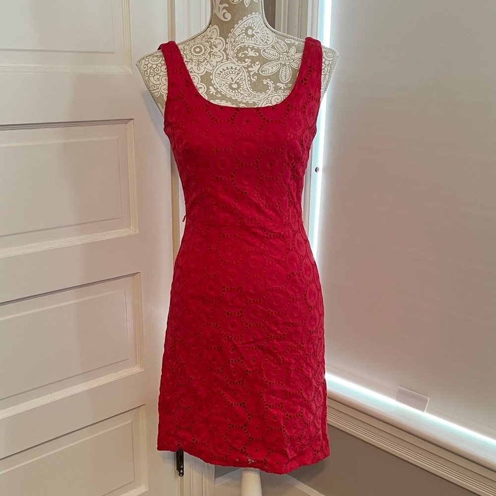 Size 4 Adrianna Papell Rose Pink Eyelet Shift Dress